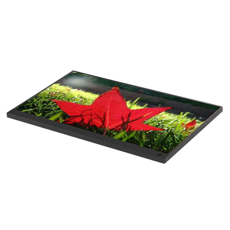 15.6 inch 1080P 178 Degree Wide Angle HD Portable IPS LED Display Monitor