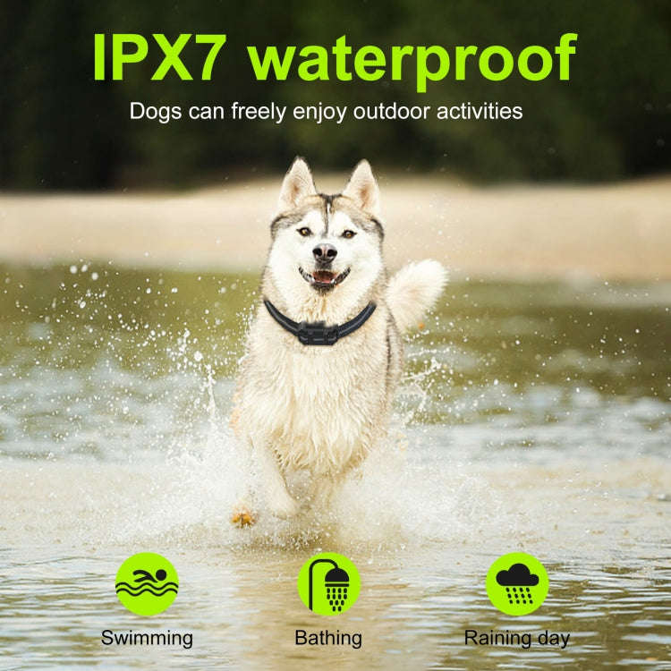 T15 Pet Training Electronic Collar Waterproof Vibration Shock Dog Trainer(Black)