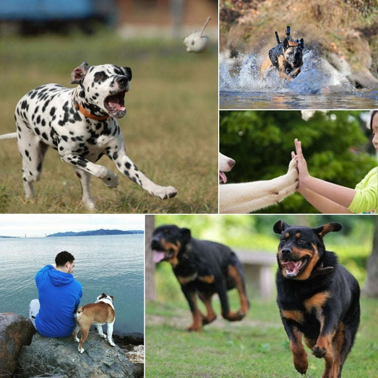 PULUZ Hound Dog Fetch Harness Adjustable Chest Strap Mount for GoPro, Insta360, DJI and Other Act...