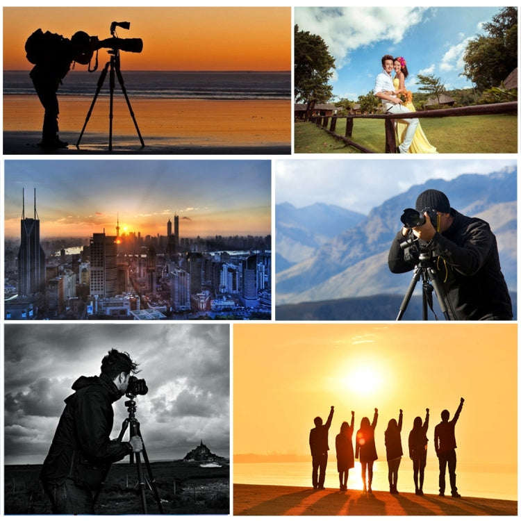 PULUZ 4-Section Folding Legs Metal  Tripod Mount with 360 Degree Ball Head for DSLR & Digital Cam...