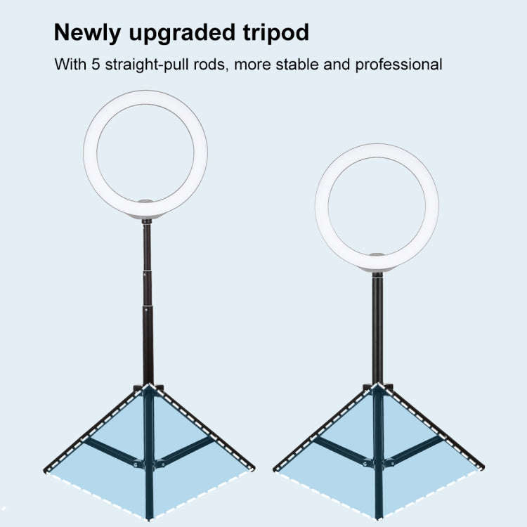 PULUZ 1.65m Height Tripod Mount Holder for Vlogging Video Light  Live Broadcast Kits(Black)