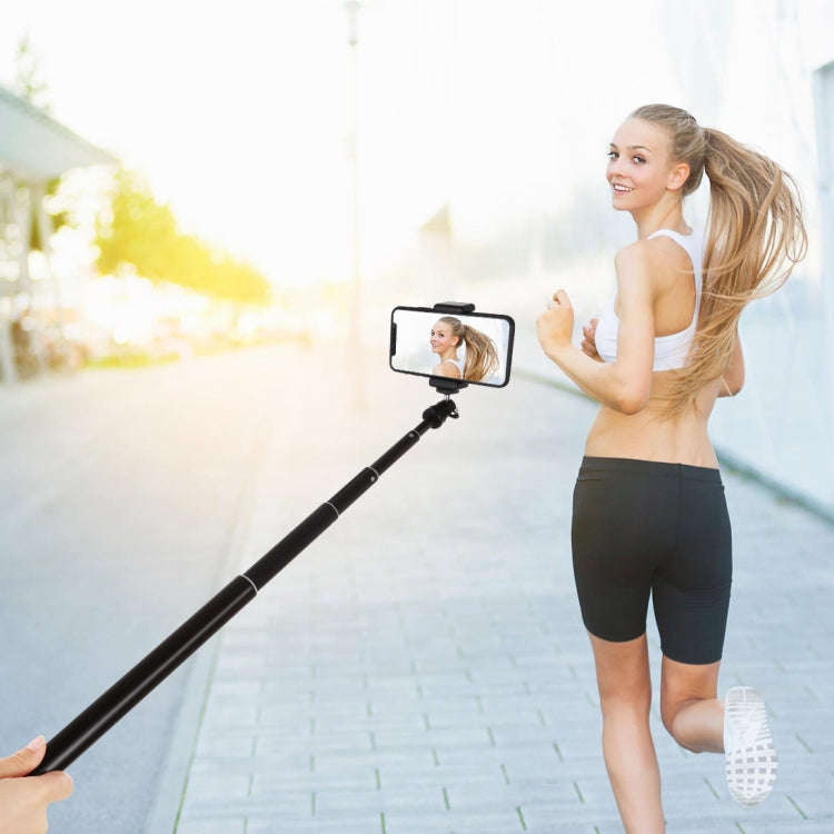 PULUZ 1.65m Height Tripod Mount Holder for Vlogging Video Light  Live Broadcast Kits(Black)