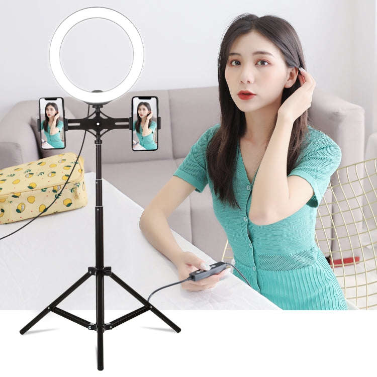 PULUZ 1.65m Height Tripod Mount Holder for Vlogging Video Light  Live Broadcast Kits(Black)