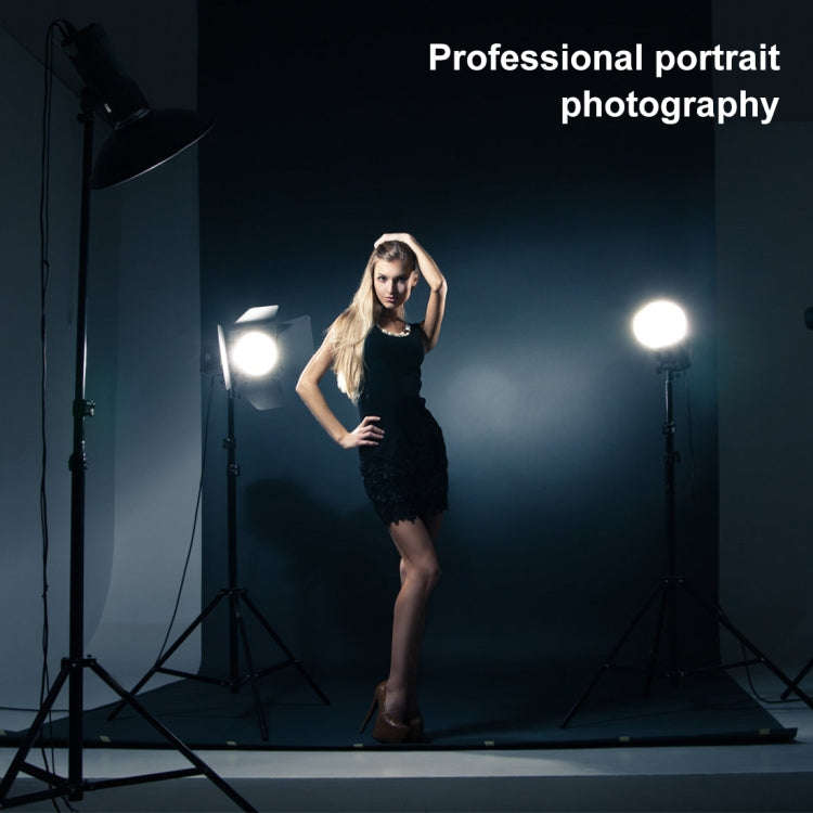 PULUZ 2m x 2m Photography Background Thickness Photo Studio Background Cloth Backdrop (Black)