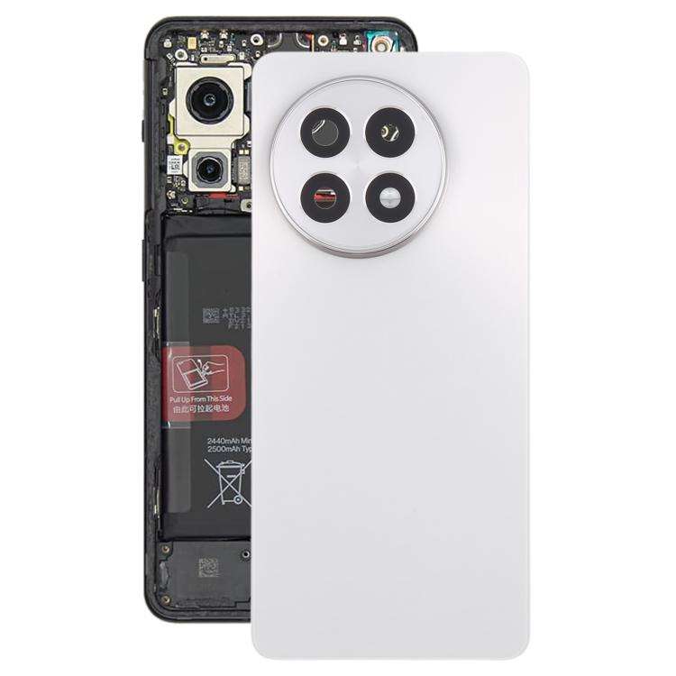 For OnePlus 13R Original Back Cover with Camera Lens Cover(Titanium)