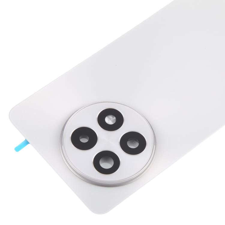 For OnePlus 13R Original Back Cover with Camera Lens Cover(Titanium)