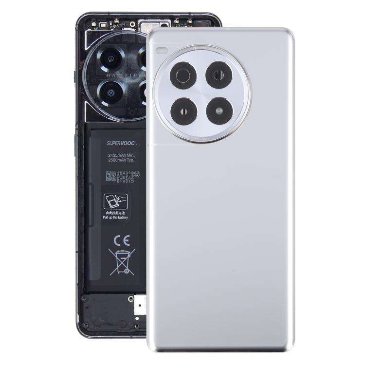 For OnePlus Ace 3 Pro PJX110 Original Glass Battery Back Cover with Camera Lens(Silver)