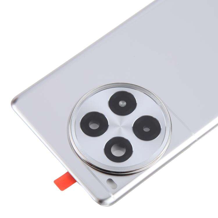 For OnePlus Ace 3 Pro PJX110 Original Glass Battery Back Cover with Camera Lens(Silver)