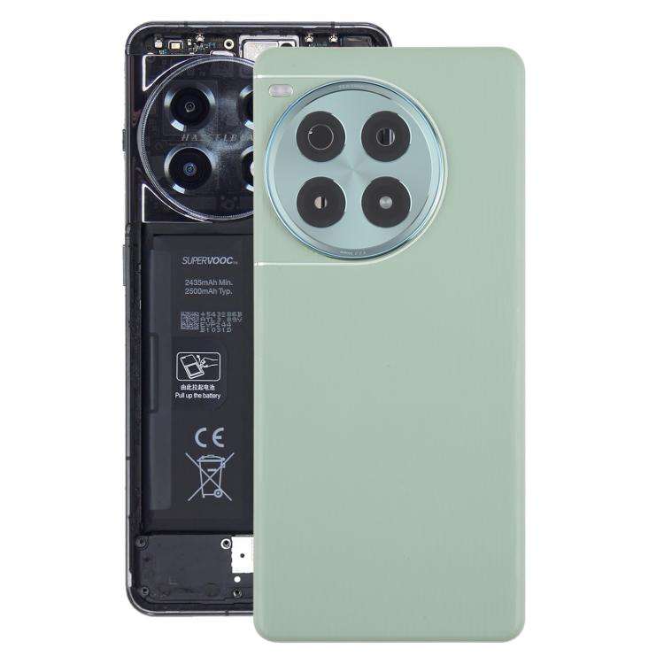 For OnePlus Ace 3 Pro PJX110 Original Leather Battery Back Cover with Camera Lens(Green)