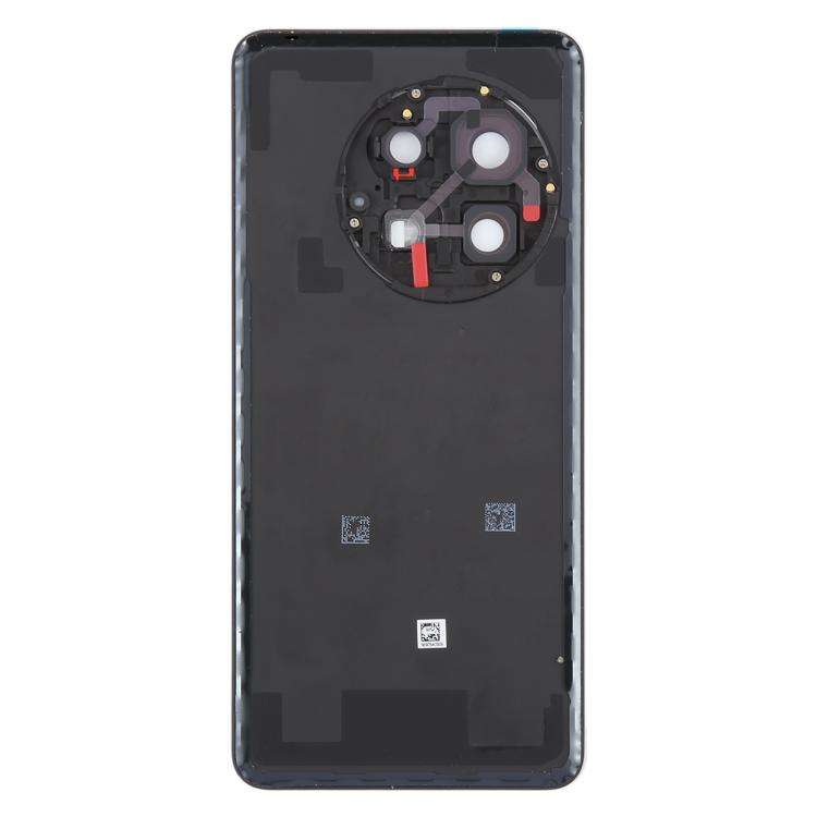 For OnePlus 13 CPH2655 CPH2653 PJZ110 Original Glass Battery Back Cover with Camera Lens(Matte Bl...