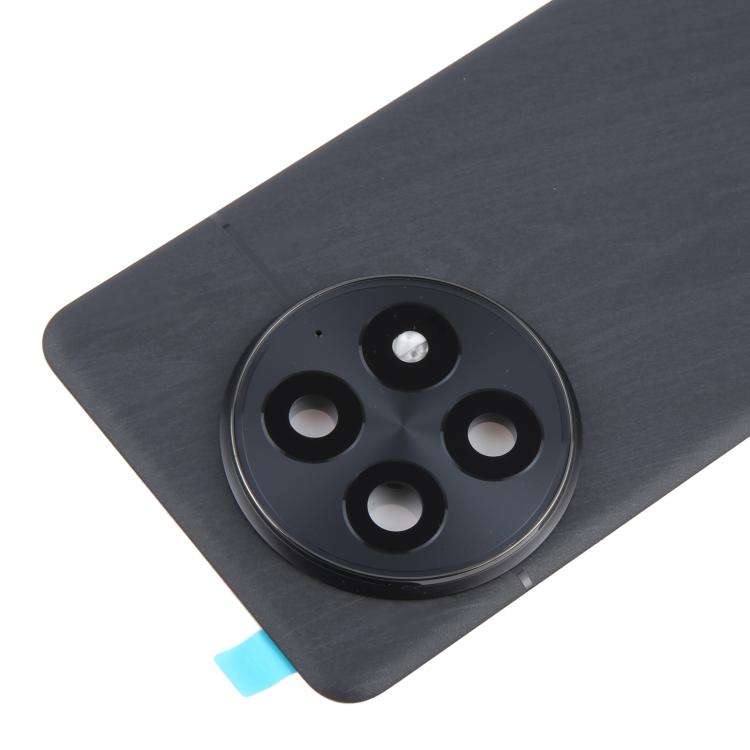 For OnePlus 13 CPH2655 CPH2653 PJZ110 Original Glass Battery Back Cover with Camera Lens(Matte Bl...