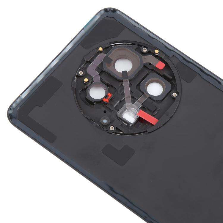For OnePlus 13 CPH2655 CPH2653 PJZ110 Original Glass Battery Back Cover with Camera Lens(Matte Bl...