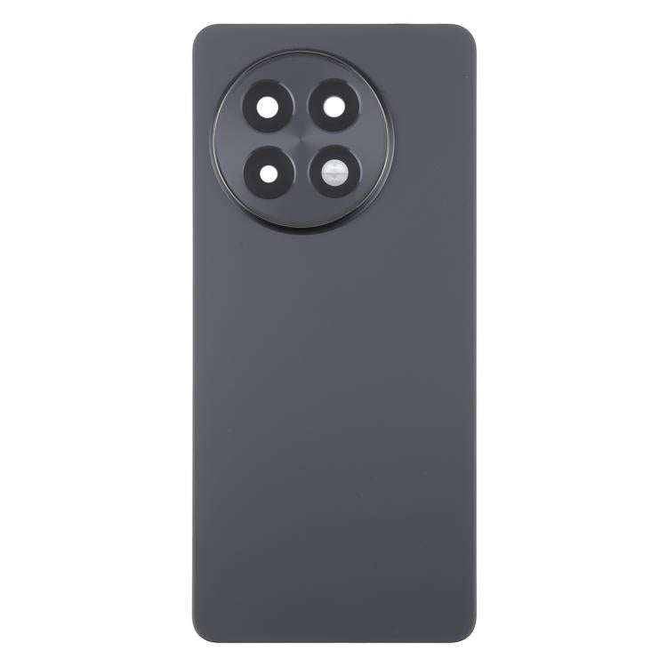 For OnePlus 13R CPH2645 CPH2691 CPH2647 Original Glass Battery Back Cover with Camera Lens(Matte ...