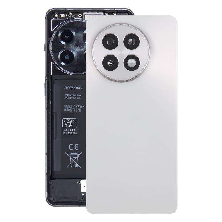 For OnePlus 13R CPH2645 CPH2691 CPH2647 Original Glass Battery Back Cover with Camera Lens(Matte ...
