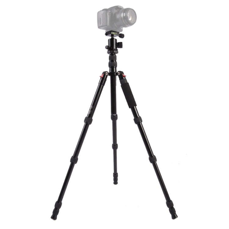 Triopo MT-2505C Adjustable Portable Aluminum Tripod (Gold) with NB-1S Ball Head (Black) for Canon...