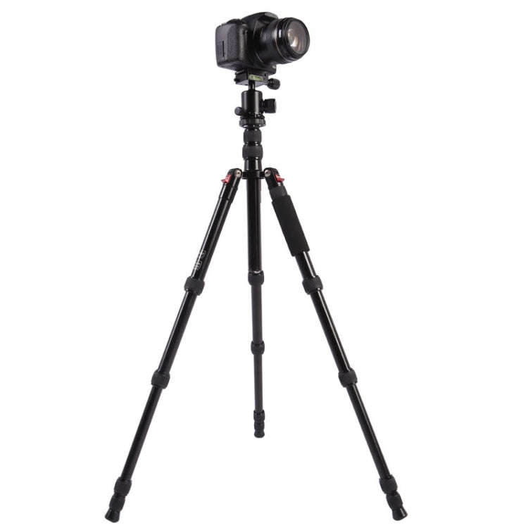 Triopo MT-2505C Adjustable Portable Aluminum Tripod (Gold) with NB-1S Ball Head (Black) for Canon...