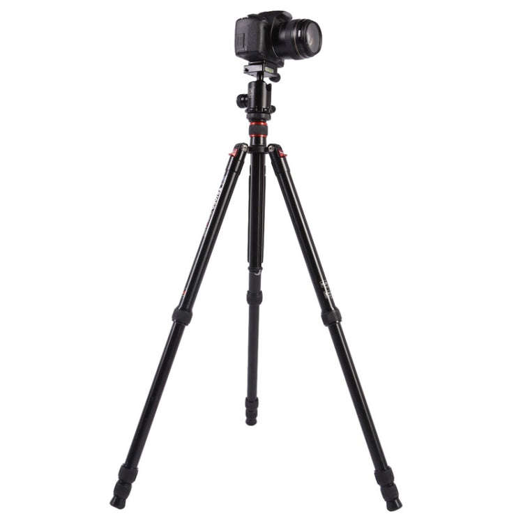 Triopo MT-2804C Adjustable Portable Aluminum Tripod (Gold) with NB-2S Ball Head (Black) for Canon...