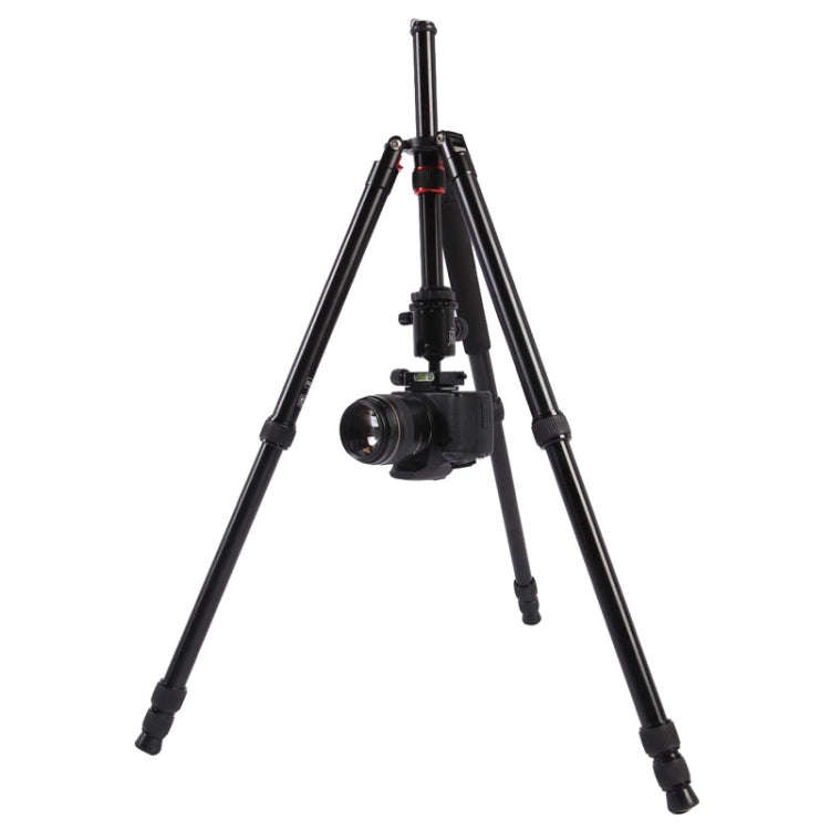 Triopo MT-2804C Adjustable Portable Aluminum Tripod (Gold) with NB-2S Ball Head (Black) for Canon...