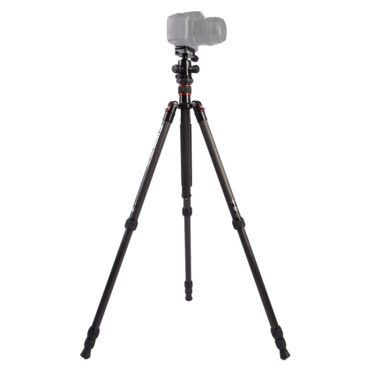 Triopo GT-2504X8.C Adjustable Portable Carbon Fiber Tripod with B-1 Aluminum Ball Head for Canon ...