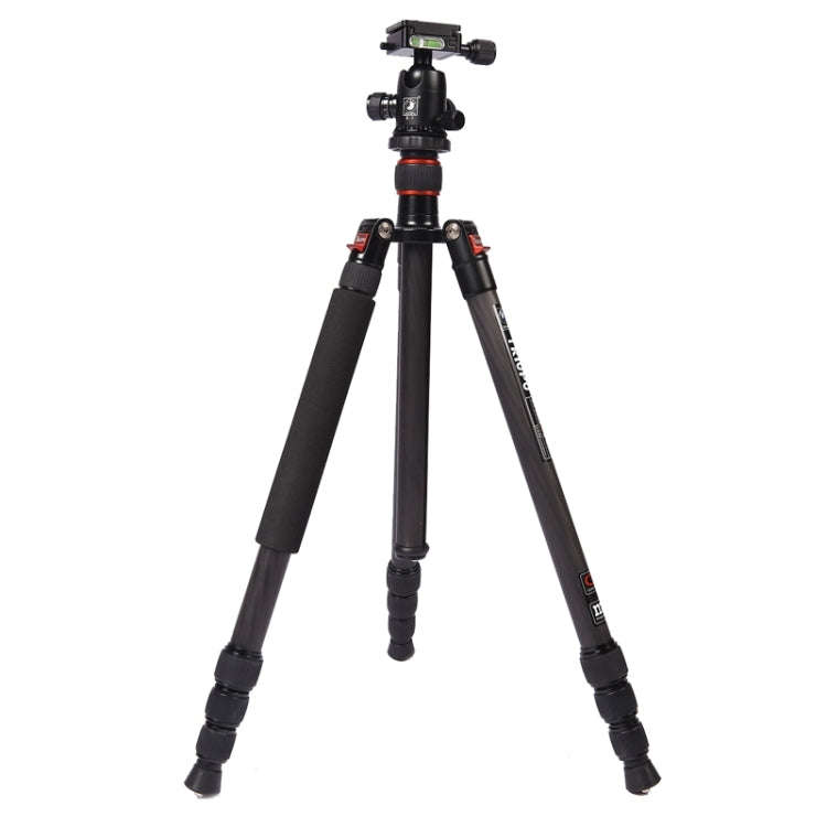 Triopo GT-2504X8.C Adjustable Portable Carbon Fiber Tripod with B-1 Aluminum Ball Head for Canon ...