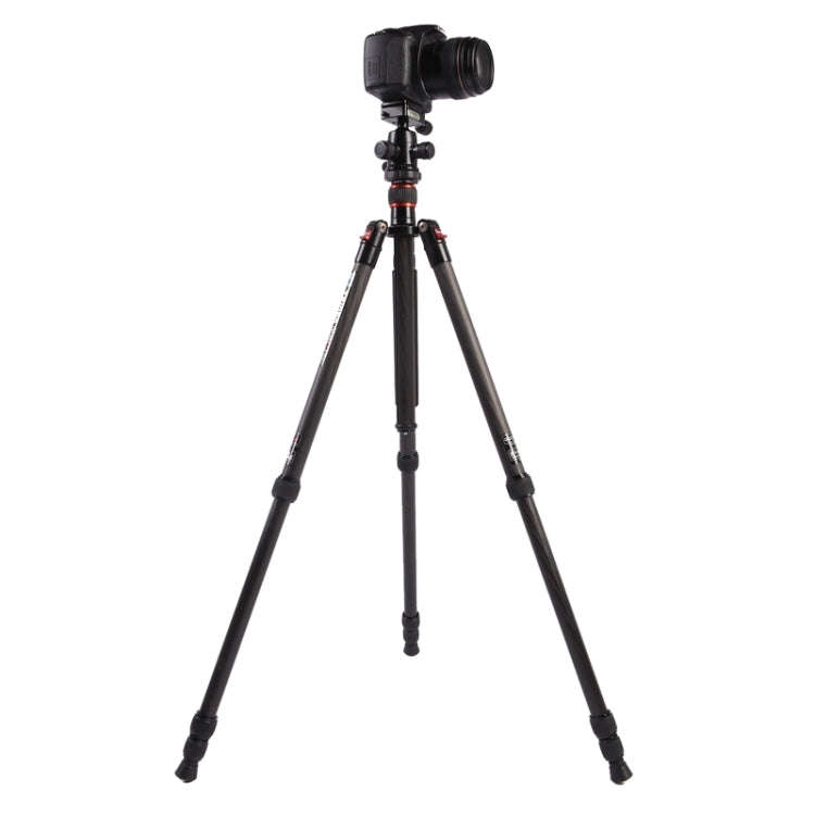 Triopo GT-2504X8.C Adjustable Portable Carbon Fiber Tripod with B-1 Aluminum Ball Head for Canon ...