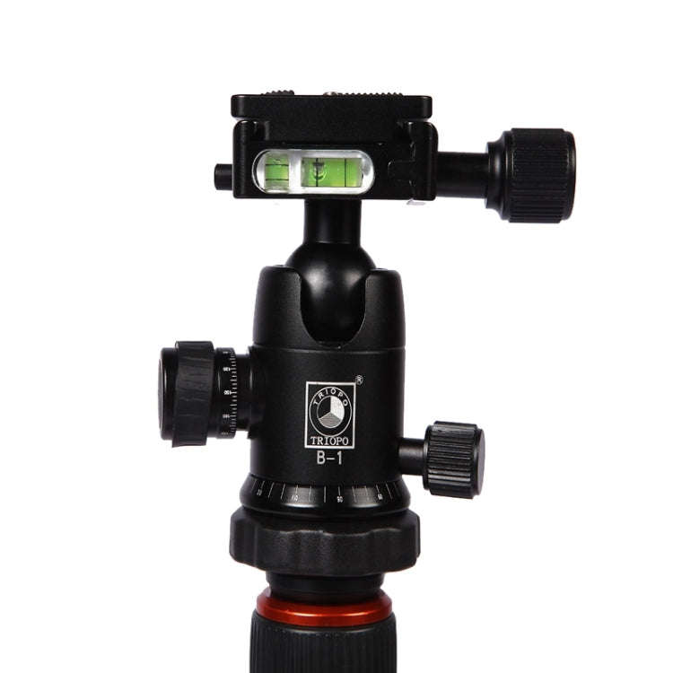 Triopo GT-2504X8.C Adjustable Portable Carbon Fiber Tripod with B-1 Aluminum Ball Head for Canon ...
