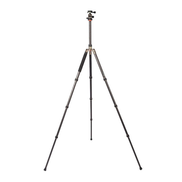 Triopo GT-2504X8.C Adjustable Portable Carbon Fiber Tripod with B-1 Aluminum Ball Head for Canon ...
