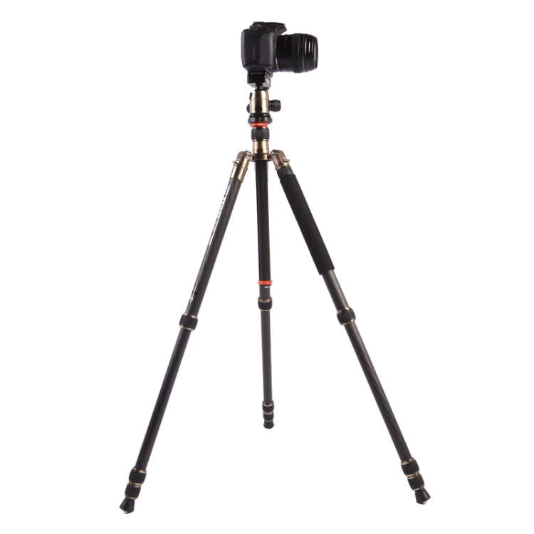 Triopo GT-2504X8.C Adjustable Portable Carbon Fiber Tripod with B-1 Aluminum Ball Head for Canon ...