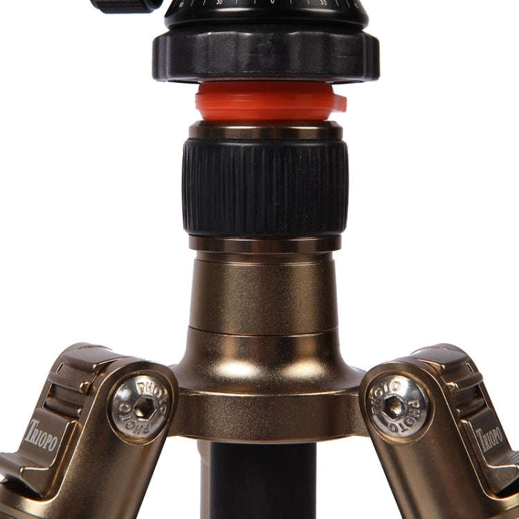 Triopo GT-2504X8.C Adjustable Portable Carbon Fiber Tripod with B-1 Aluminum Ball Head for Canon ...