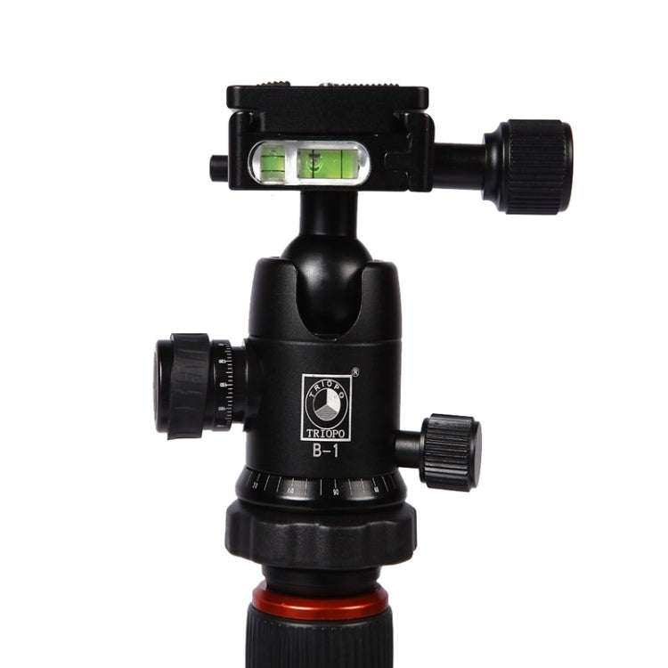 Triopo GT-2504X8.C Adjustable Portable Carbon Fiber Tripod with B-1 Aluminum Ball Head for Canon ...