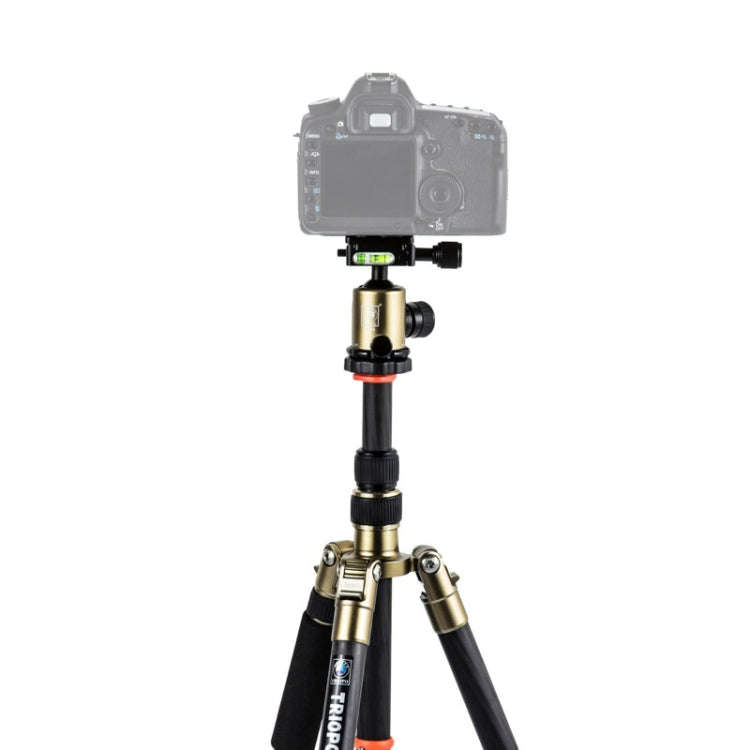 Triopo GT-2505x8.C Adjustable Portable Carbon Fiber Tripod (Gold) with B-1 Aluminum Ball Head (Bl...