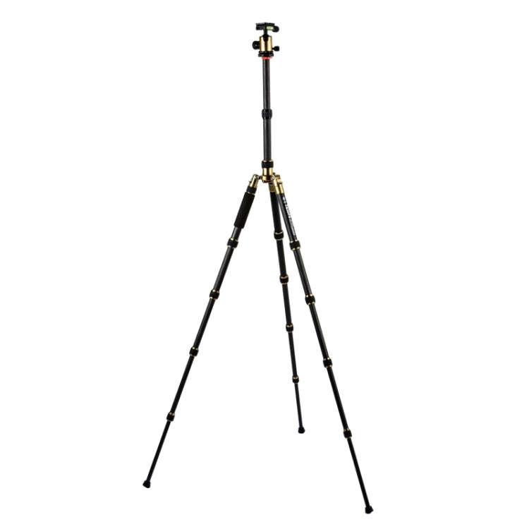Triopo GT-2505x8.C Adjustable Portable Carbon Fiber Tripod (Gold) with B-1 Aluminum Ball Head (Bl...
