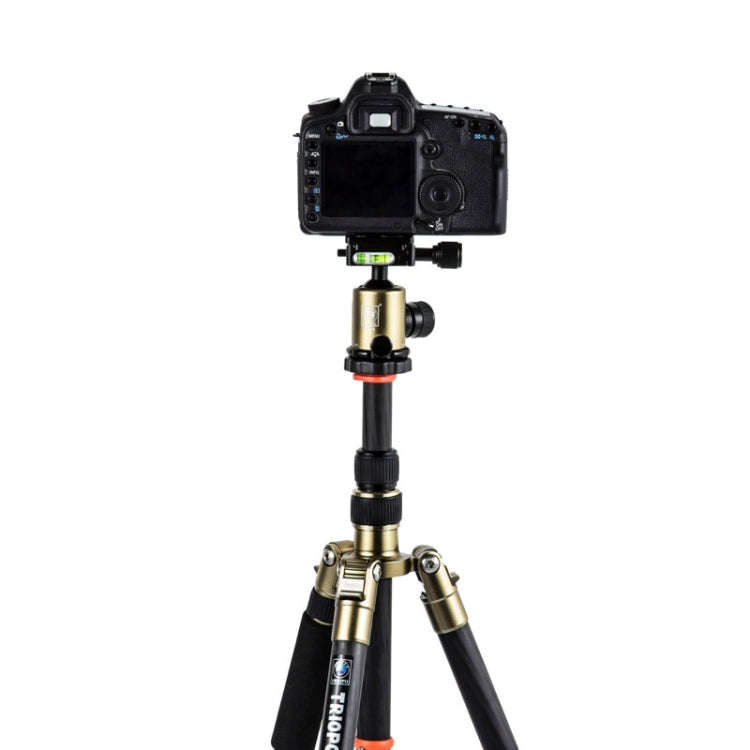 Triopo GT-2505x8.C Adjustable Portable Carbon Fiber Tripod (Gold) with B-1 Aluminum Ball Head (Bl...