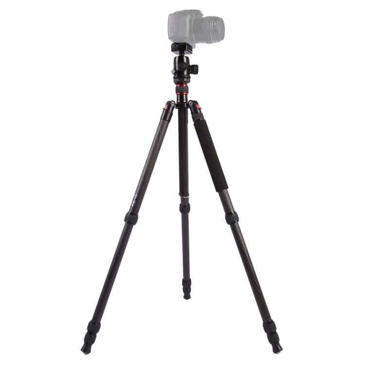 Triopo GT-2804X8.C Adjustable Portable Carbon Fiber Tripod with B-2 Aluminum Ball Head for Canon ...