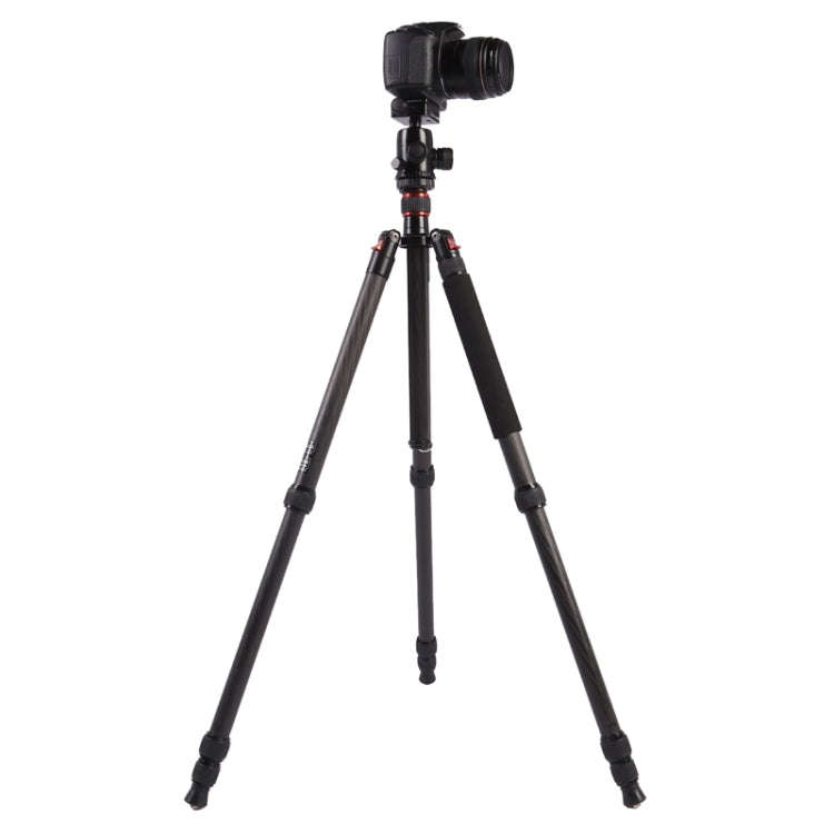 Triopo GT-2804X8.C Adjustable Portable Carbon Fiber Tripod with B-2 Aluminum Ball Head for Canon ...