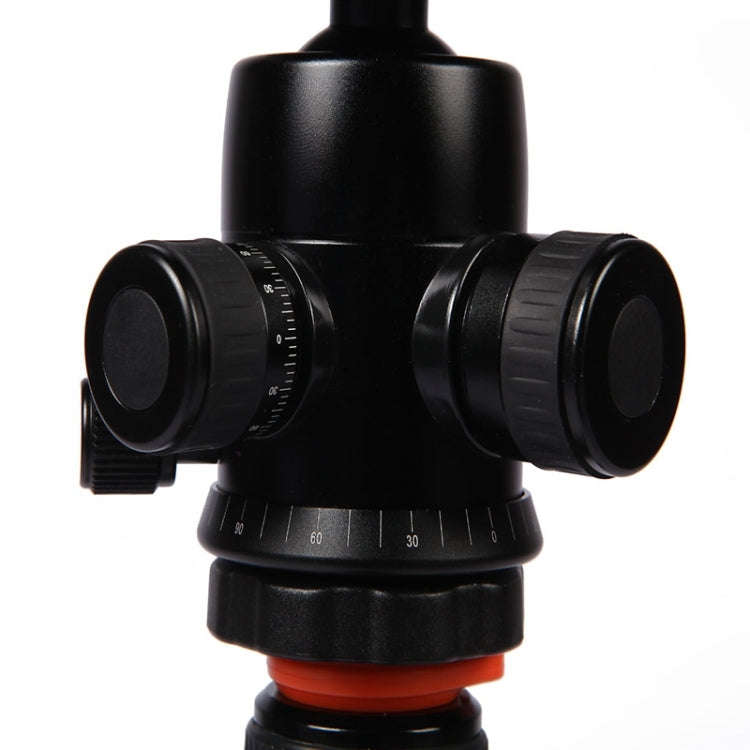 Triopo GT-2804X8.C Adjustable Portable Carbon Fiber Tripod with B-2 Aluminum Ball Head for Canon ...