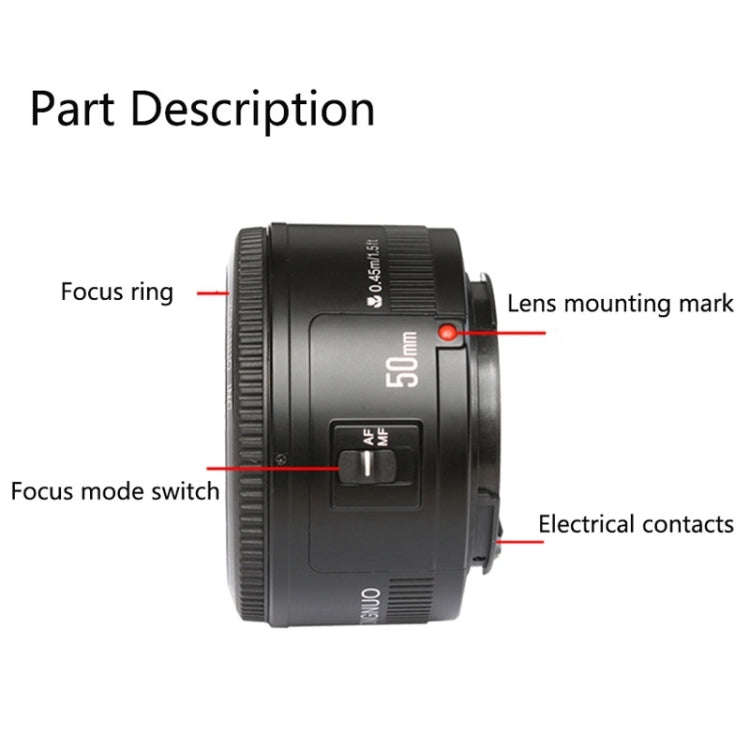 YONGNUO 50mm F1.8 Standard Prime Lens for Canon Camera