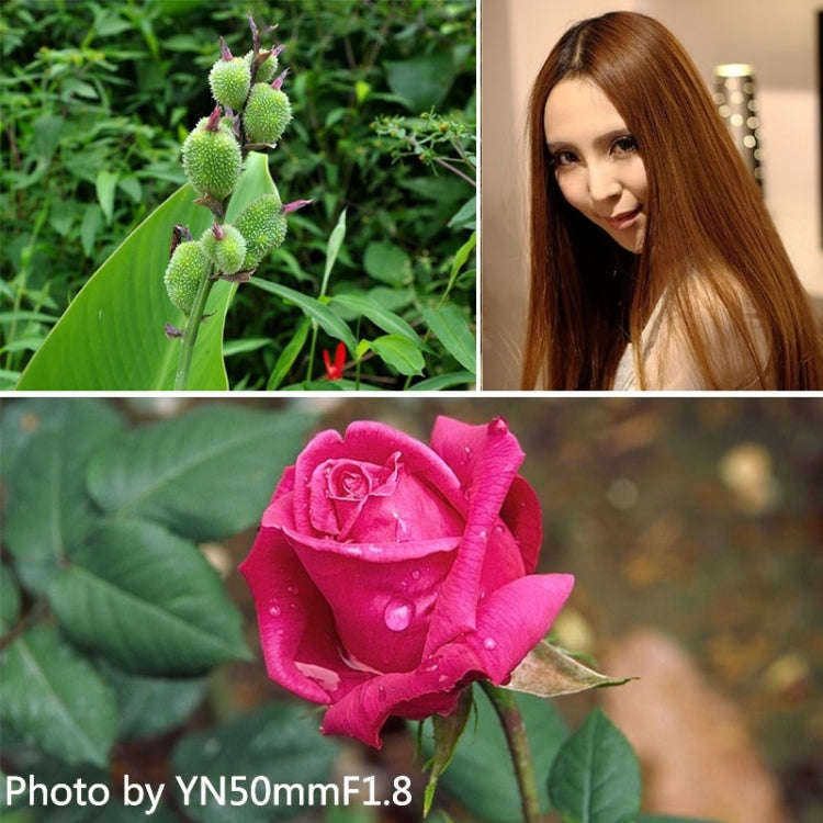 YONGNUO 50mm F1.8 Standard Prime Lens for Canon Camera