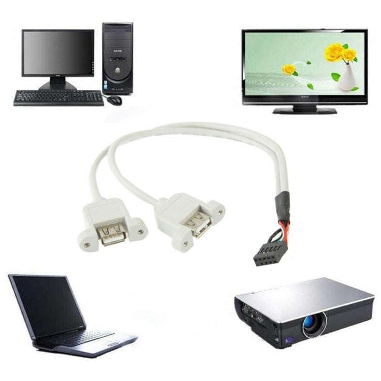 9 Pin Internal Header to 2x USB 2.0 AF Mount Pannel Cable, Length: 30cm