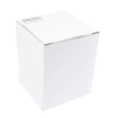 Plug Adapter, World Travel Adapter 2 & USB Charger