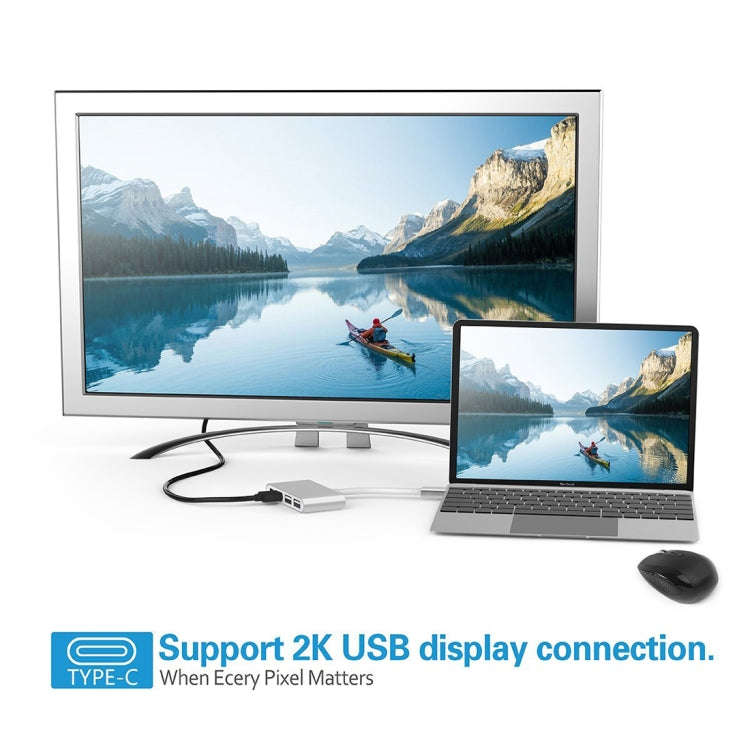 4 in 1 3 x USB 3.0 Ports & USB-C / Type-C Female to USB-C / Type-C Male Hub Splitter Adapter(Silver)