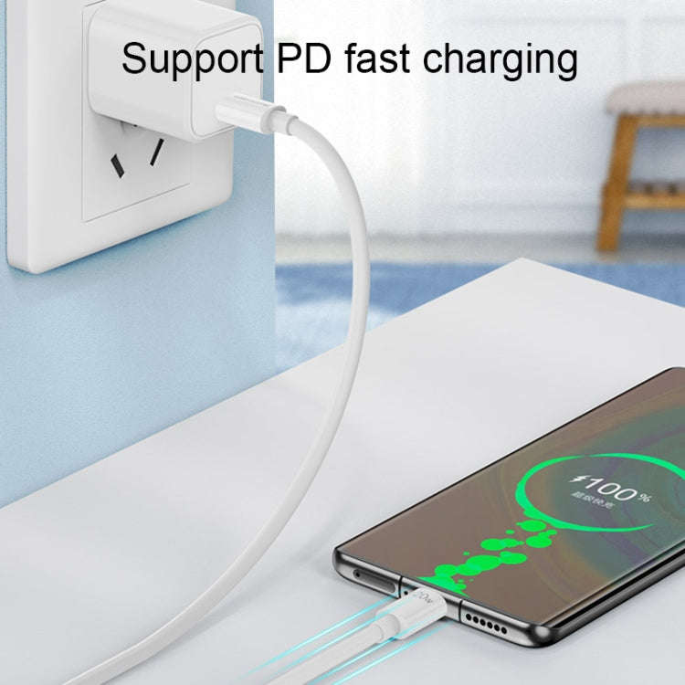 WK WDC-175 120W USB-C/Type-C to USB/Type-C Fast Charge Data Cable, Length: 1.2m