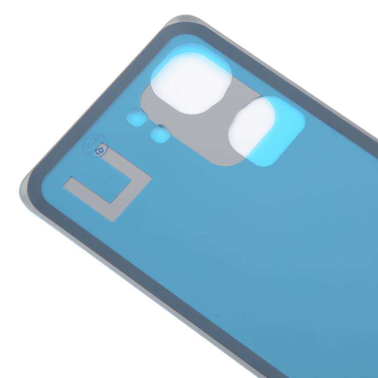 For vivo iQOO Neo9 OEM Battery Back Cover(Blue)