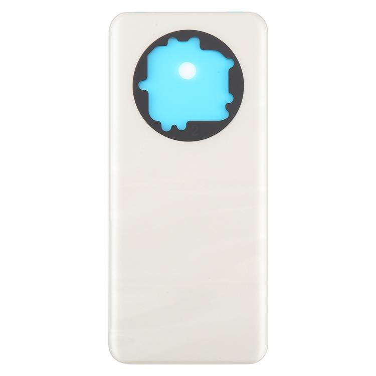 For Realme 13 Pro+ Back Cover(Gold)