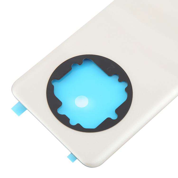 For Realme 13 Pro+ Back Cover(Gold)