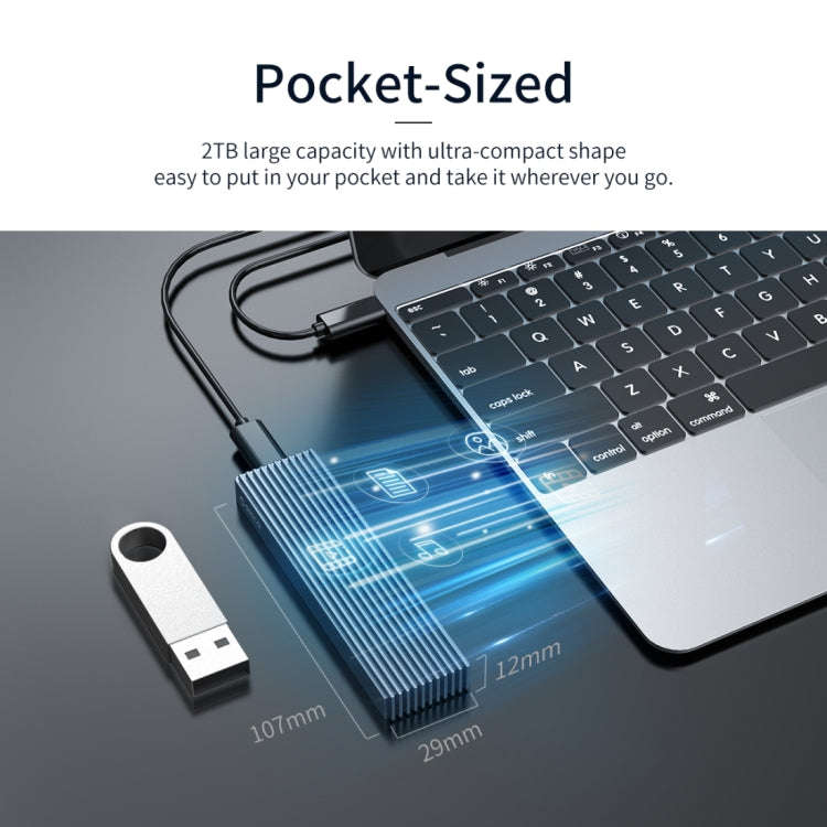 ORICO M2PJM-C3 M.2 SSD Dual Protocol Hard Disk Case