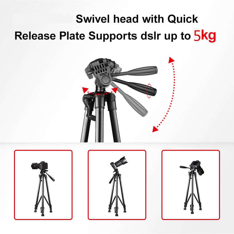 L-3600 Live Tripod with Three-Dimensional Damping Gimbal  Detachable Quick Release Plate  Height ...