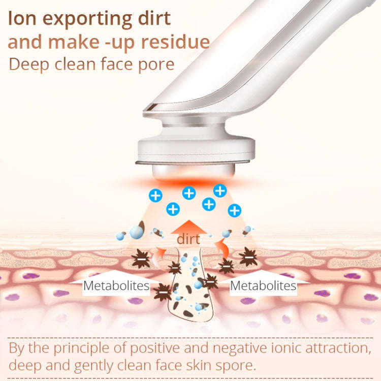 KD9960 Ion Beauty Introduction Instrument Face Cleansing Massager Skin Rejuvenation Thermostat De...
