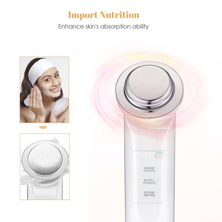 KD9960 Ion Beauty Introduction Instrument Face Cleansing Massager Skin Rejuvenation Thermostat De...