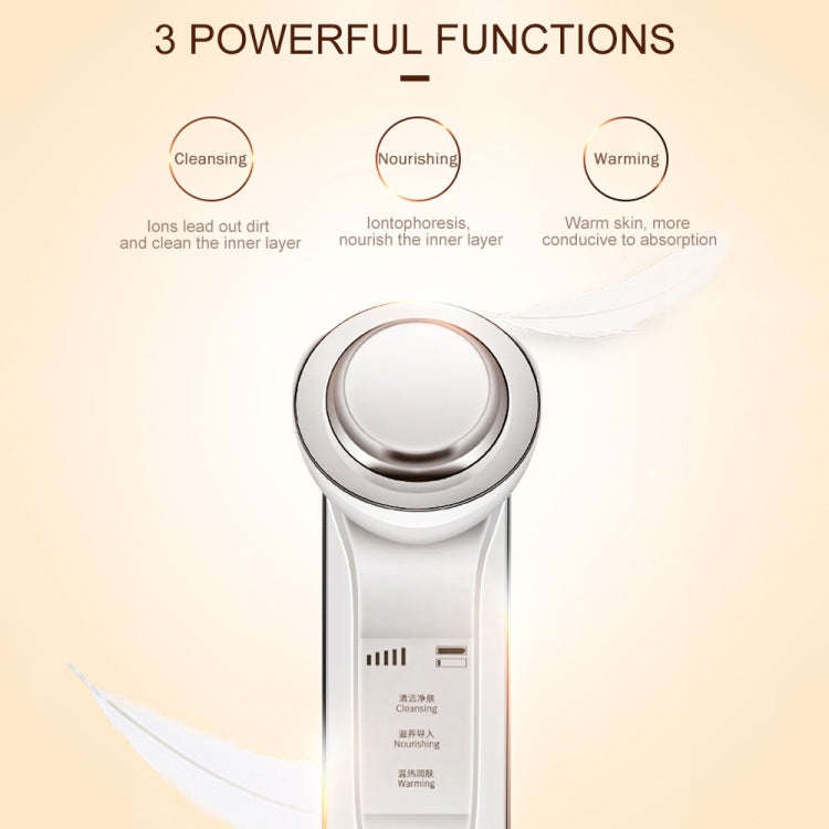 KD9960 Ion Beauty Introduction Instrument Face Cleansing Massager Skin Rejuvenation Thermostat De...